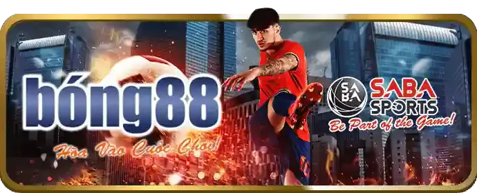Vấn đề kết nối mạng